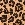 Animal Print